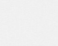 купить A.S.Creation Meistervlies 4 3075-14 / 3076-13