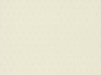 купить A.S.Creation Letizia 890023