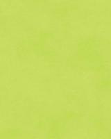 купить Khroma Kidzzz DOU310