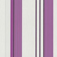 купить P+S International Tribute to 135 Years 13204-10