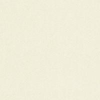 купить P+S International Flower Power 02403-62