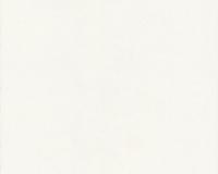 купить A.S.Creation Esprit 4 111746