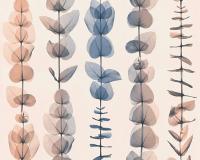 купить A.S.Creation X-Ray 34246-5