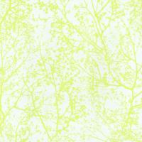 купить P+S International Graphics Alive 13264-60