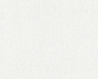 купить A.S.Creation Maistervlies 2020 35478-1