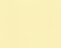 купить A.S.Creation Esprit Kids V 30305-1