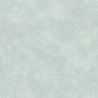 купить Rasch Metal Spirit 2016 588408