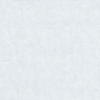 купить P+S International Graziosa 42118-80