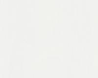 купить A.S.Creation Meistervlies 5 30148-1