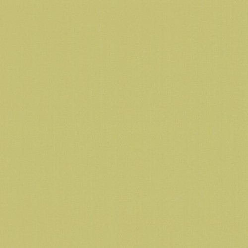 купить P+S International Delight 03882-70