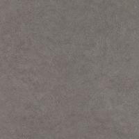 купить Rasch Fiducia 424201