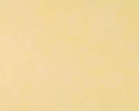 купить A.S.Creation Styleguide Jung 523938