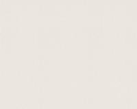 купить A.S.Creation Esprit 12 93619-5