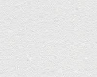 купить A.S.Creation Maistervlies 2020 14151-4