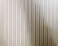 купить A.S.Creation Chroma 132635