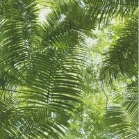 купить P+S International Collage 42503-10