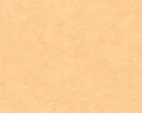 купить A.S.Creation New Look 32448-4