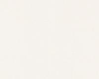 купить A.S.Creation Meistervlies 5 3091-12