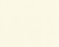 купить A.S.Creation Duetto 850010