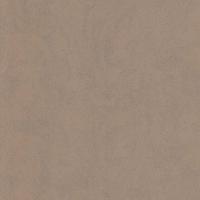 купить P+S International Brilliance 02555-42