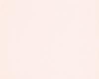 купить A.S.Creation Esprit 8 304827