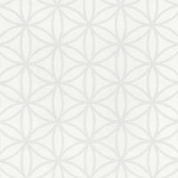 купить P+S International Graphics Alive 13263-10