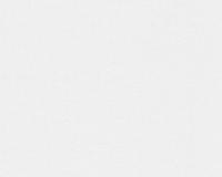 купить A.S.Creation Maistervlies 2020 95161-1