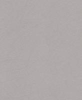 купить Rasch Shiny Chic 403671