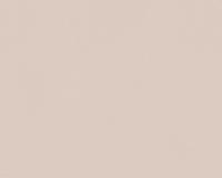 купить A.S.Creation Meistervlies 5 3091-50 купить A.S.Creation Meistervlies 5 3091-50