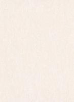 купить Erismann Arcano 5263-14