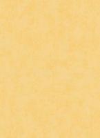 купить Erismann Prime Time Vol.2 6340-03