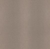 купить Rasch African Queen 2014 422757