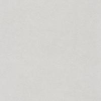 купить Rasch Fiducia 424416