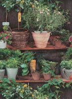 купить Erismann Instawalls 6386-07