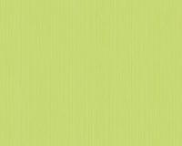 купить A.S.Creation Esprit 6 222725