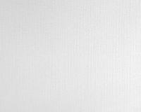 купить A.S.Creation Meistervlies Pro 2 521019