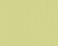 купить A.S.Creation Meistervlies 5 30148-8