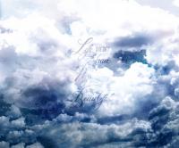 купить A.S.Creation Free Nature DD104037