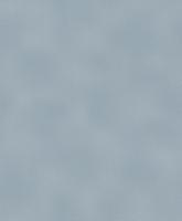 купить Rasch Diamond Dust 2016 903201 (450606)