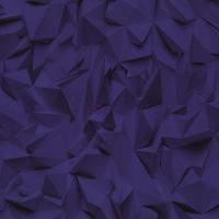 купить P+S International Times 42097-20