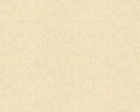 купить A.S.Creation Paradise Flower 32749-1