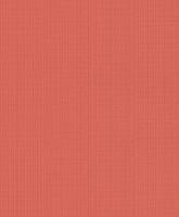 купить Rasch Fresh Up 2015 491906