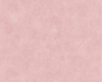 купить A.S.Creation Styleguide Jung 758439