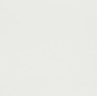 купить Rasch Cosy White 2015 269252