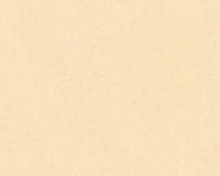 купить A.S.Creation Romantico 33544-2