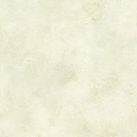 купить Rasch Finca 417074