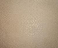 купить BN International Champagne 50103