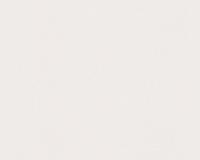 купить A.S.Creation Esprit Kids V 31153-5