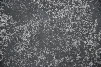 купить Marburg Esterel 50640