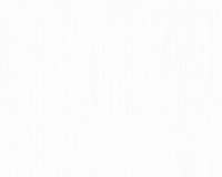 купить A.S.Creation Zanzibar 889973